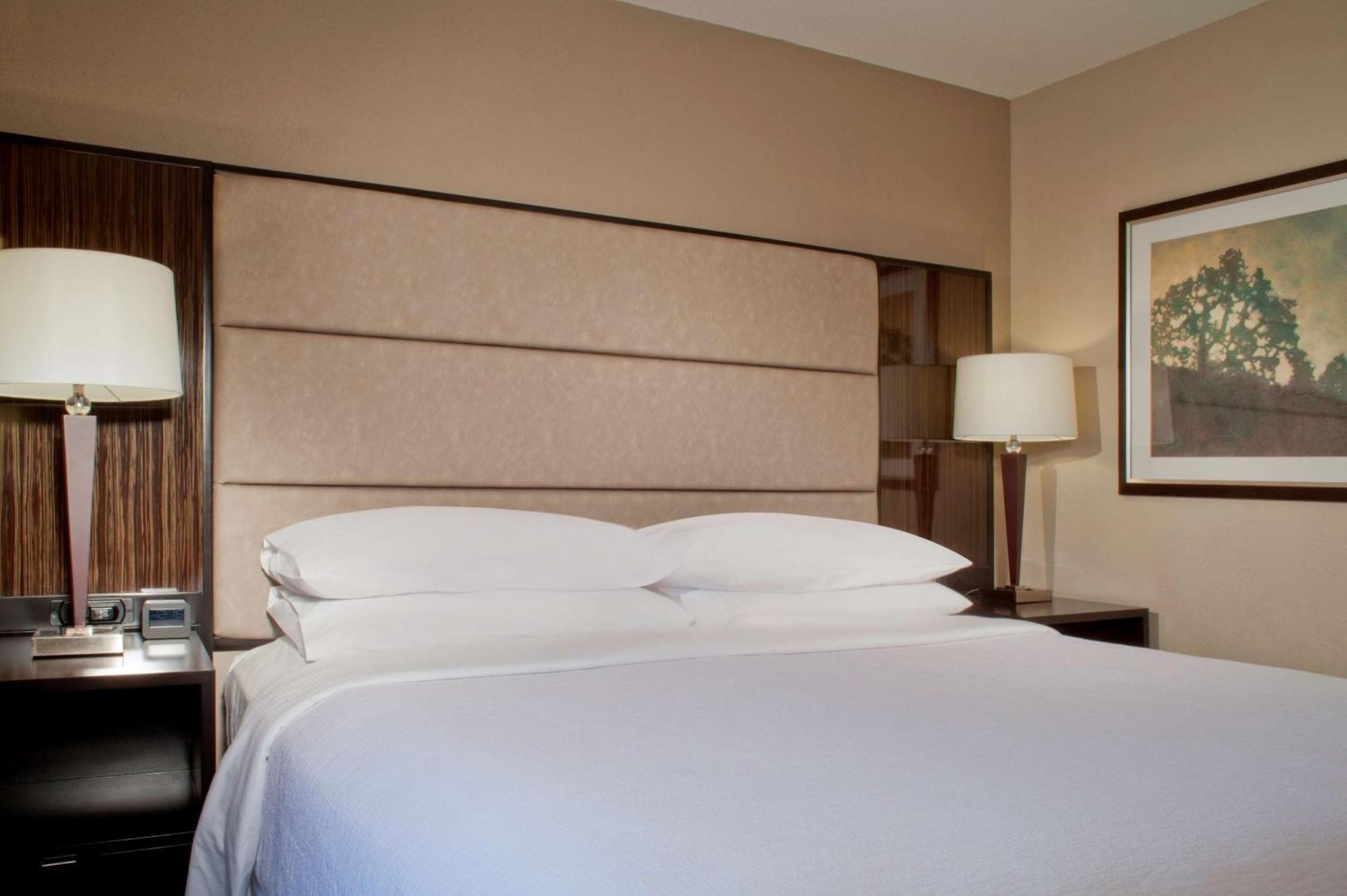 Embassy Suites By Hilton Houston Near The Galleria Exterior foto