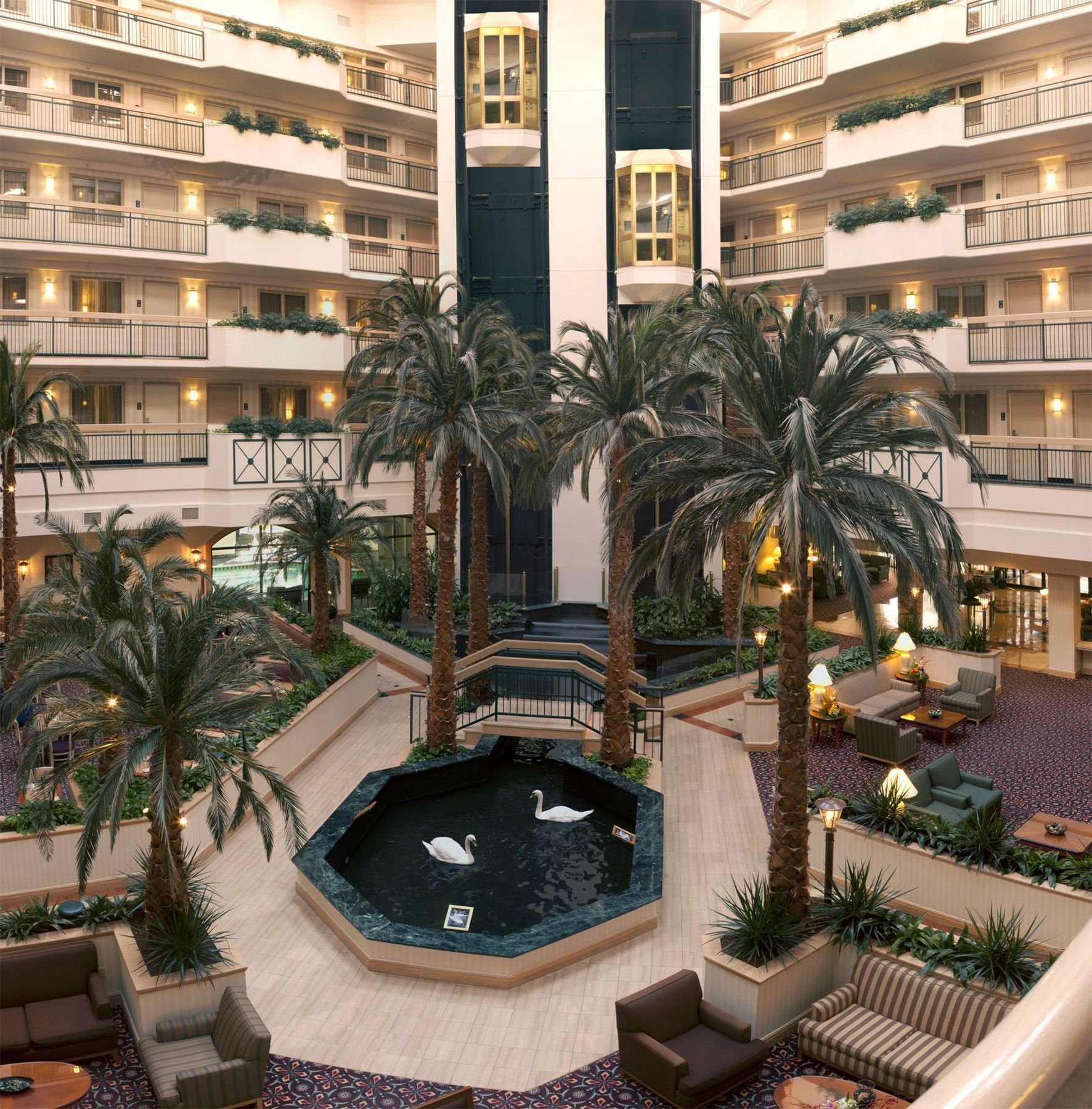 Embassy Suites By Hilton Houston Near The Galleria Exterior foto